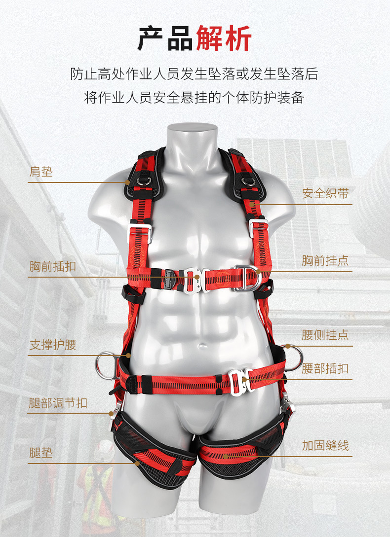 非洲象FA40602安（ān）全帶詳情_04.jpg